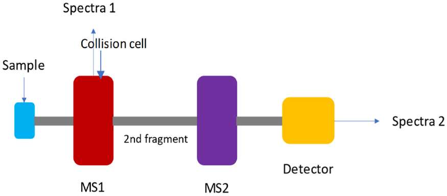 Fig.1 A simple schematic of mass spectrometry. (Gould, et al., 2021)