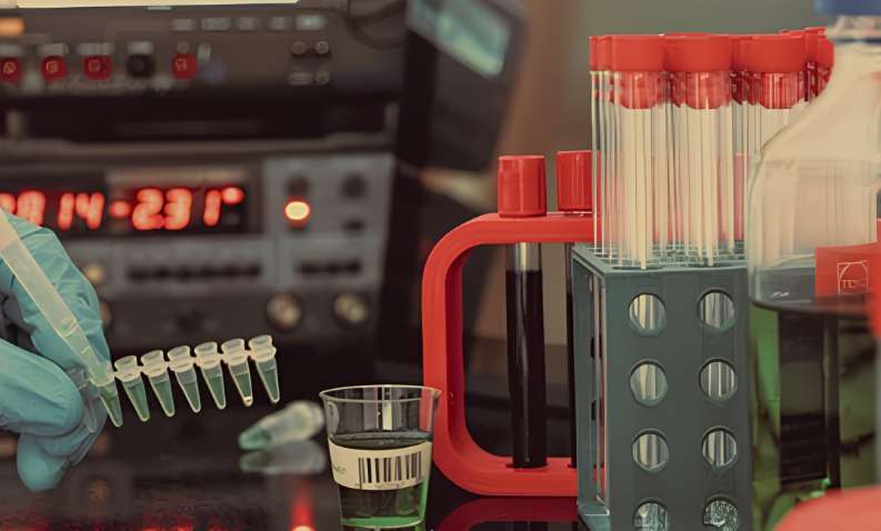 Schematic diagram of MS sample preparation kits.