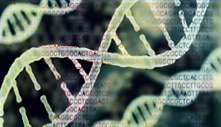 Schematic diagram of the gene chip.